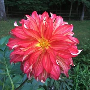 Meet your Posher, Maddie